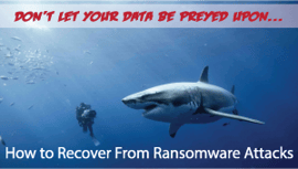 Don't let your data be Preyed upon...