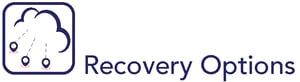 recovery options navy icon
