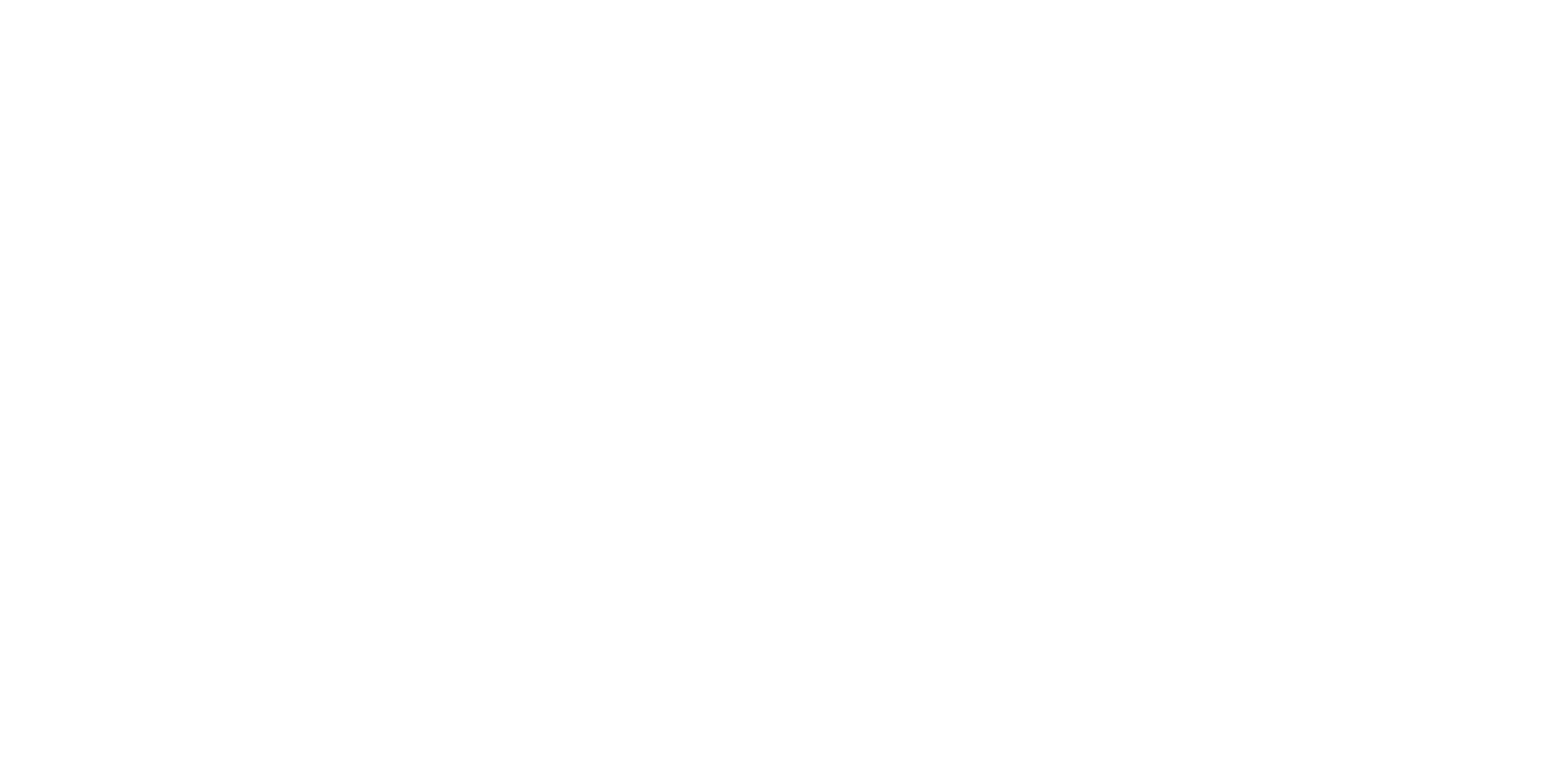 Net3 Logo