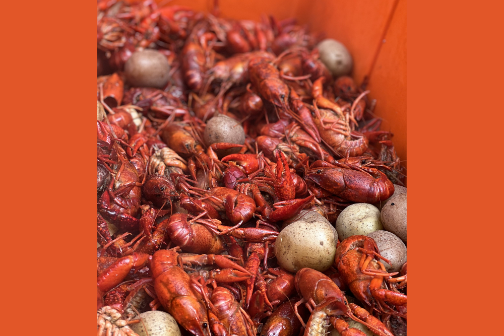 crawfish-culture page 