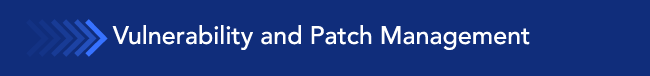 Vulnerability and Patch Management